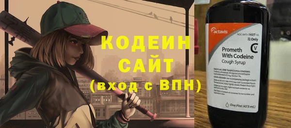 амф Снежногорск